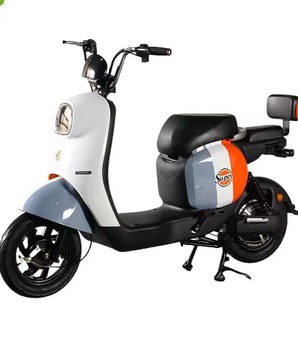 Multi-purpose Bicycle80151