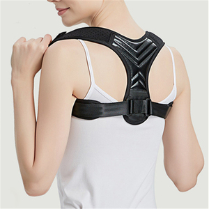 Back Supports382