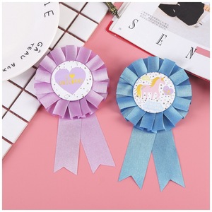 Party Sash22533