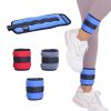 Ankle Weights1981