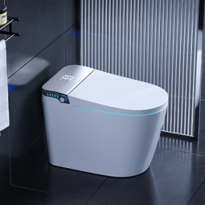 Intelligent toilet seat cover Factory Code 21102