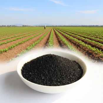 Phosphate Fertilizer83117