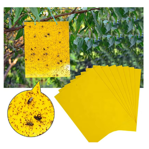 Ant Killer Supplies6304