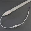 LED Poultry Lights661