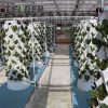 Irrigation & Hydroponic Systems10133