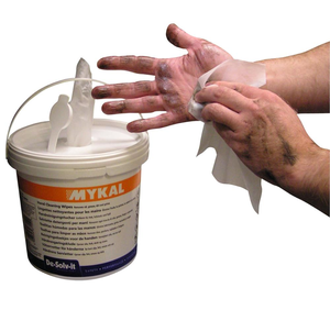 Antibacterial Sanitary Wipes8676