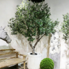 Artificial Green Plants4225