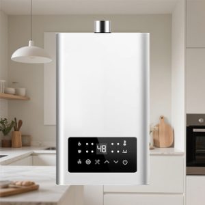 Gas water heater Factory Code 20164