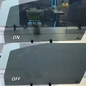 Car Window Glass1263