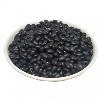 Kidney Bean97818