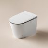 Retrofit Smart Bidet Seat Lids13029