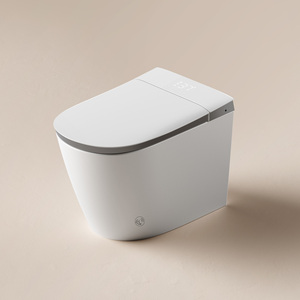 Retrofit Smart Bidet Seat Lids13029