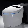 Siphon Flush Toilets13299