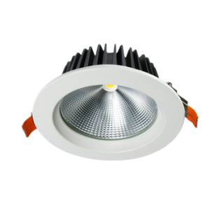 Recessed Down Light83403