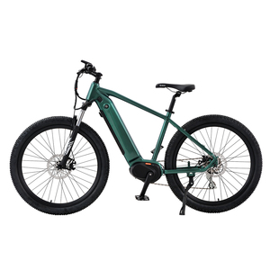 Multi-purpose Electric Bicycles9255