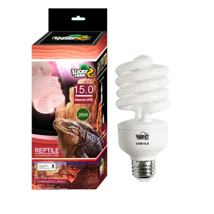 Energy Saving Fluorescent Lamp12918