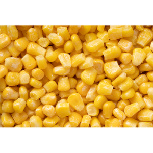 Corn81445