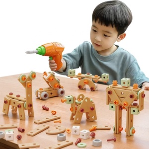 DIY Assembly Toy Kits3085