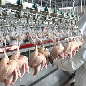 Other Meat and Poultry84371