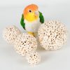 Bird Supplies4498