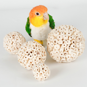 Bird Supplies4498