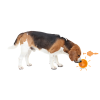 Squeaky Pet Toys1307