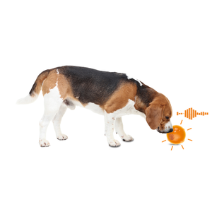 Squeaky Pet Toys1307