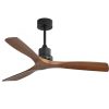 Ceiling Fan17179