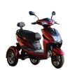 Motorized Tricycle86198