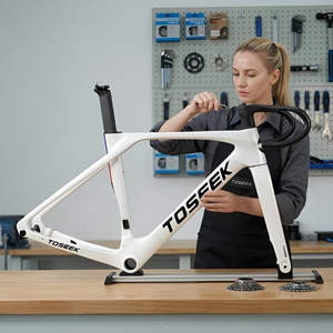Bike Frames8953