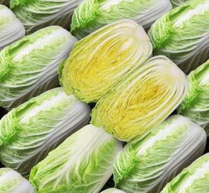Fresh Chinese Cabbage6541