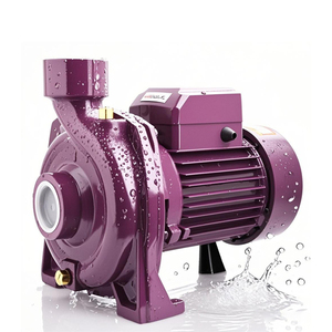 Pumps General11519