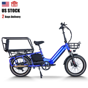 Multi-purpose Electric Bicycles6389