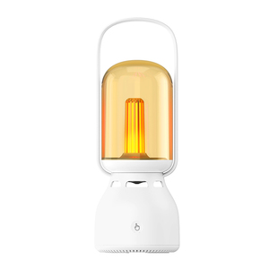Oil Lamps & Accessories7830