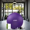 Yoga Balls11557