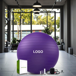 Yoga Balls11557