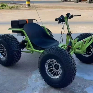 Go Karts10948