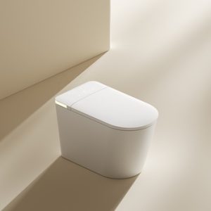 Heavy-duty intelligent toilet seat Factory Code 12066