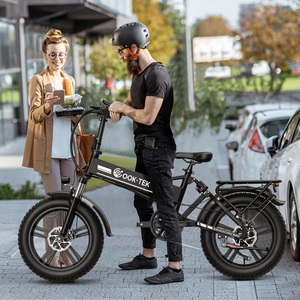 Light Electric Folding Bicycles6256