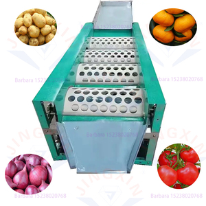 Fruit Vegetable Sorting Machine27205