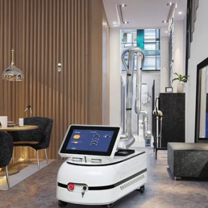 Laser Beauty Machine101510