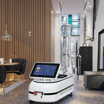 Laser Beauty Machine101510