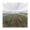 Agricultural Greenhouse84899
