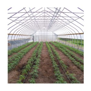 Agricultural Greenhouse84899