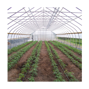 Agricultural Greenhouse84899