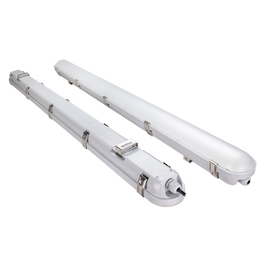 LED Poultry Lights6494