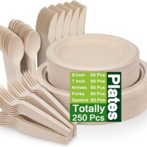 Party Tableware & Decor85686