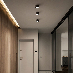 Cold Storage Light20248