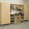 Garage Storage10335