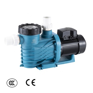 Swimming Pool Pumps11047